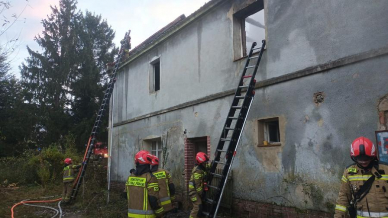 Nocny pożar w Osinie Małej. Płonął pustostan