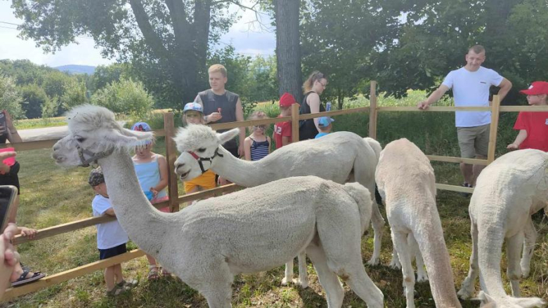 Piknik rodzinny połączony ze ślubowaniem młodych druhów w Dzbanowie