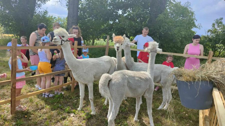 Piknik rodzinny połączony ze ślubowaniem młodych druhów w Dzbanowie