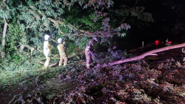 Ponad 30 interwencji strażaków po nocnej burzy. Zerwany dach i powalone drzewa	