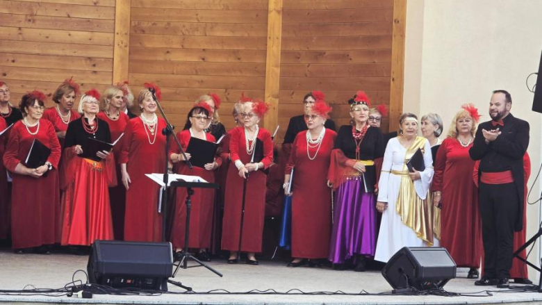 Muzyczne popołudnie w parku miejskim. Wrocławski Chór Seniora wystąpił w Złotym Stoku