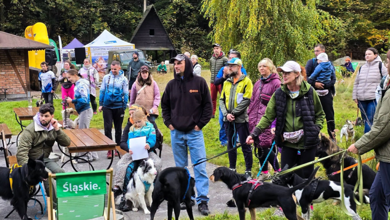Ponad 220 zawodników na finale Pucharu Polski w dogtrekkingu w Złotym Stoku