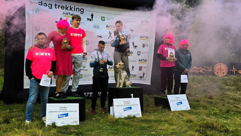 Ponad 220 zawodników na finale Pucharu Polski w dogtrekkingu w Złotym Stoku