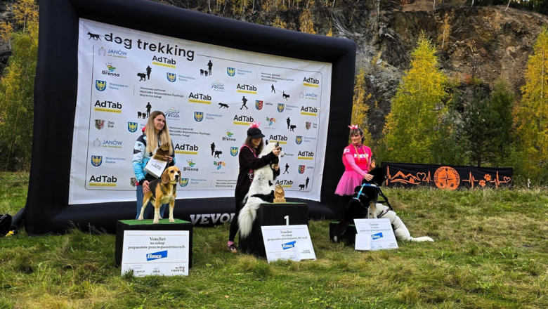 Ponad 220 zawodników na finale Pucharu Polski w dogtrekkingu w Złotym Stoku