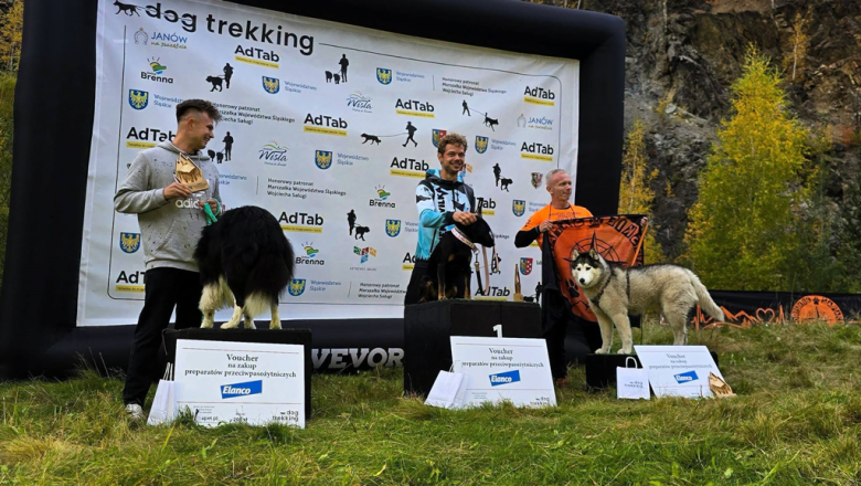 Ponad 220 zawodników na finale Pucharu Polski w dogtrekkingu w Złotym Stoku