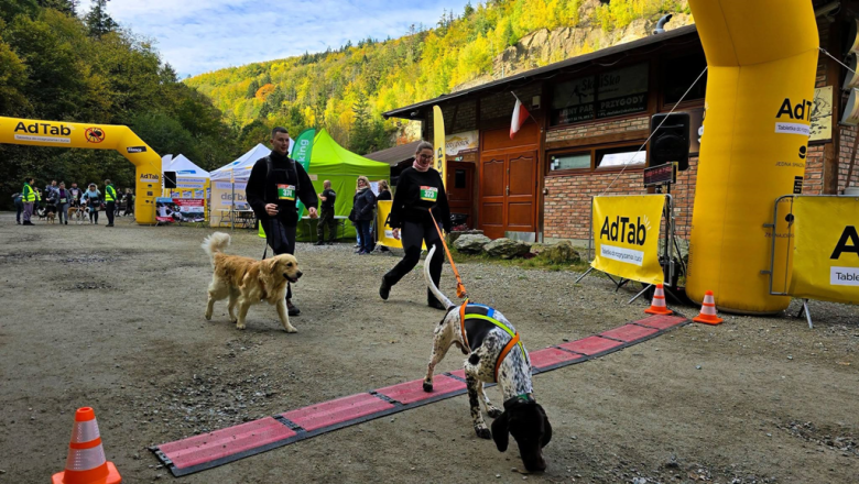 Ponad 220 zawodników na finale Pucharu Polski w dogtrekkingu w Złotym Stoku