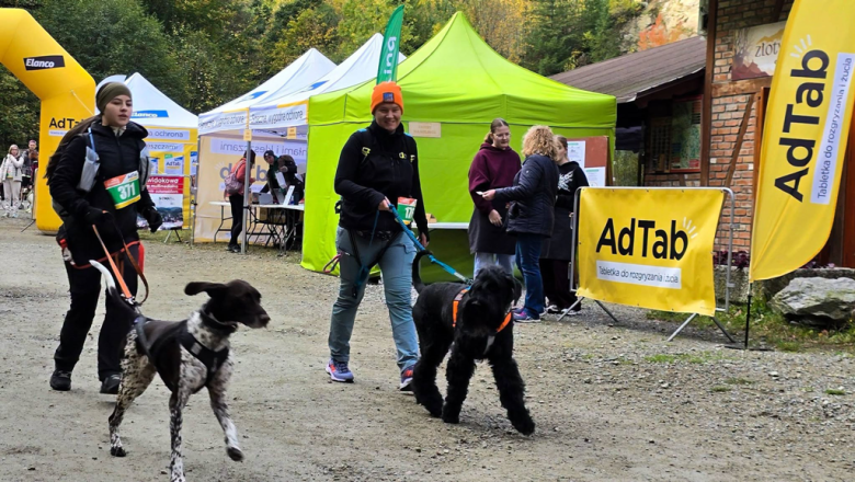 Ponad 220 zawodników na finale Pucharu Polski w dogtrekkingu w Złotym Stoku