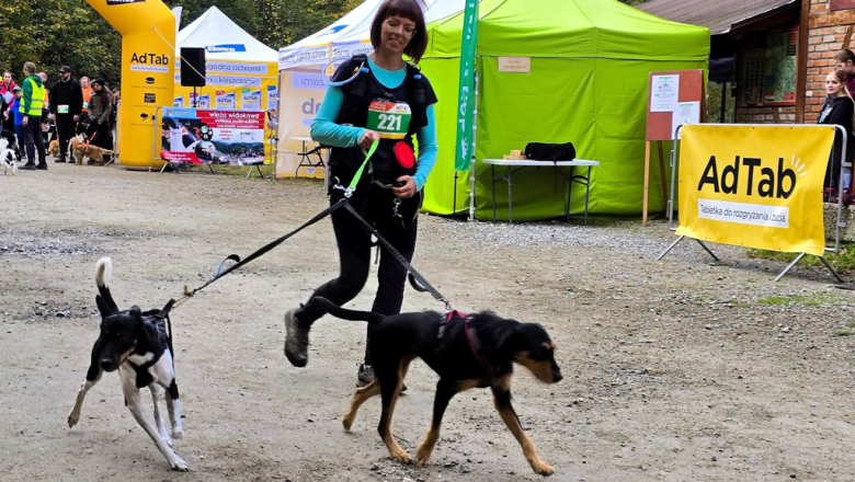 Ponad 220 zawodników na finale Pucharu Polski w dogtrekkingu w Złotym Stoku