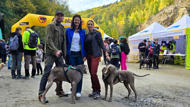 Ponad 220 zawodników na finale Pucharu Polski w dogtrekkingu w Złotym Stoku