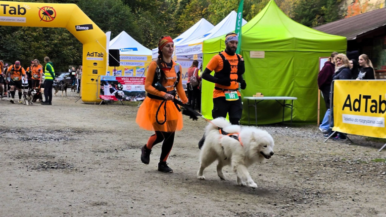 Ponad 220 zawodników na finale Pucharu Polski w dogtrekkingu w Złotym Stoku