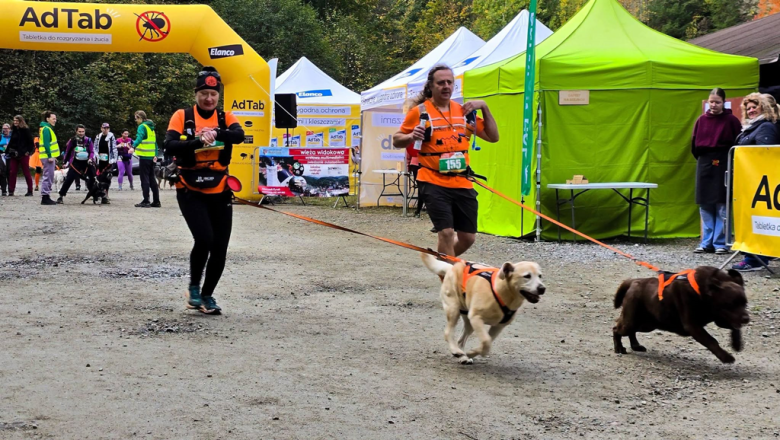 Ponad 220 zawodników na finale Pucharu Polski w dogtrekkingu w Złotym Stoku