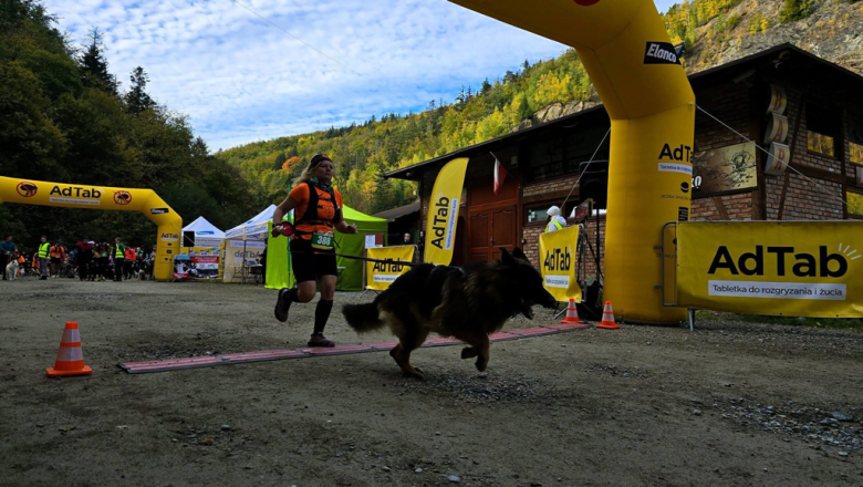 Ponad 220 zawodników na finale Pucharu Polski w dogtrekkingu w Złotym Stoku