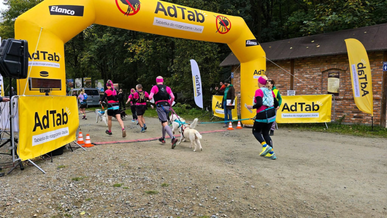 Ponad 220 zawodników na finale Pucharu Polski w dogtrekkingu w Złotym Stoku