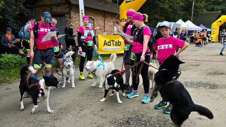 Ponad 220 zawodników na finale Pucharu Polski w dogtrekkingu w Złotym Stoku