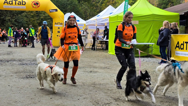 Ponad 220 zawodników na finale Pucharu Polski w dogtrekkingu w Złotym Stoku