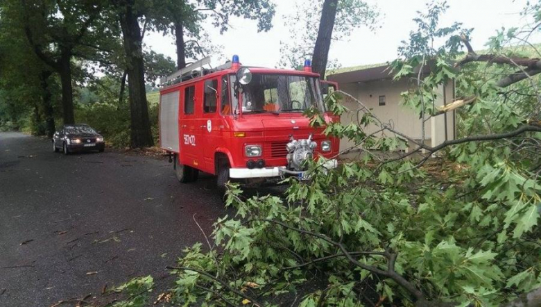 Powalone drzewa przez kilkadziesiąt minut uniemożliwiały przejazd