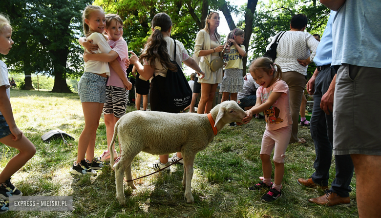 Kolorowa Parada Bajek i moc atrakcji. Tak świętowano Dzień Dziecka w Ząbkowicach Śląskich