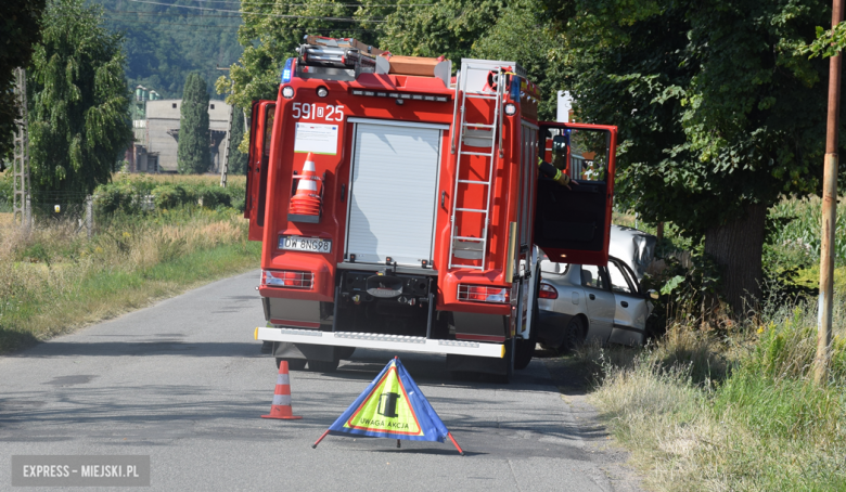 Osoba kierująca daewoo zjechała z drogi i uderzyła w przydrożne drzewo po czym oddaliła się z miejsca zdarzenia