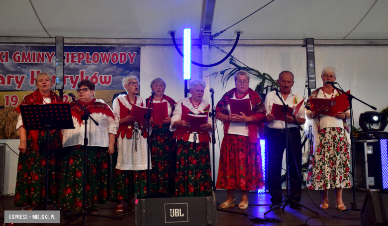 Święto plonów w Starym Henrykowie (gm. Ciepłowody)