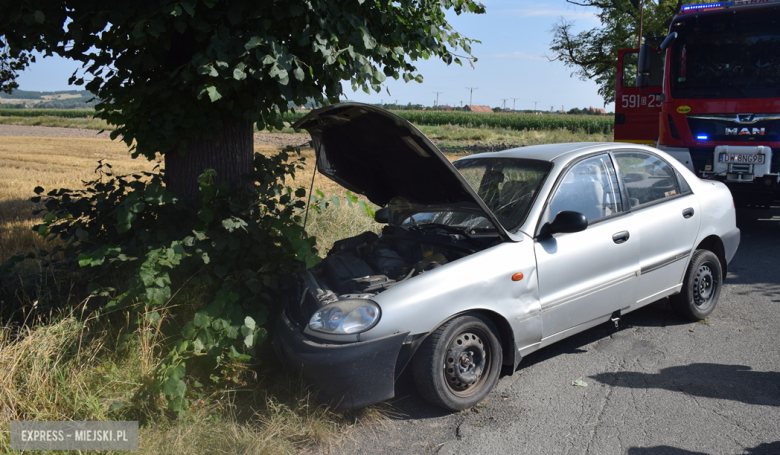 Osoba kierująca daewoo zjechała z drogi i uderzyła w przydrożne drzewo po czym oddaliła się z miejsca zdarzenia