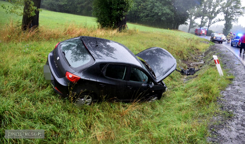 Seat wypadł z drogi na trasie Złoty Stok-Kłodzko