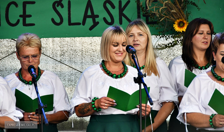 Muzyka, tradycja i turniej sołectw – dożynki gminne w Olbrachcicach Wielkich