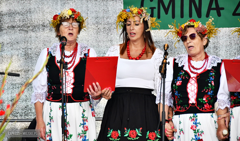 Muzyka, tradycja i turniej sołectw – dożynki gminne w Olbrachcicach Wielkich