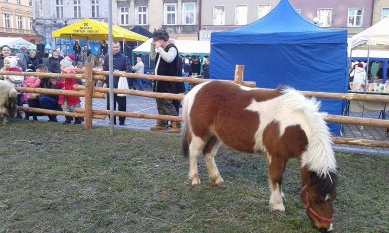 Jarmark Bożonarodzeniowy w Ziębicach