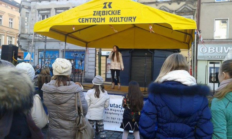 Jarmark Bożonarodzeniowy w Ziębicach