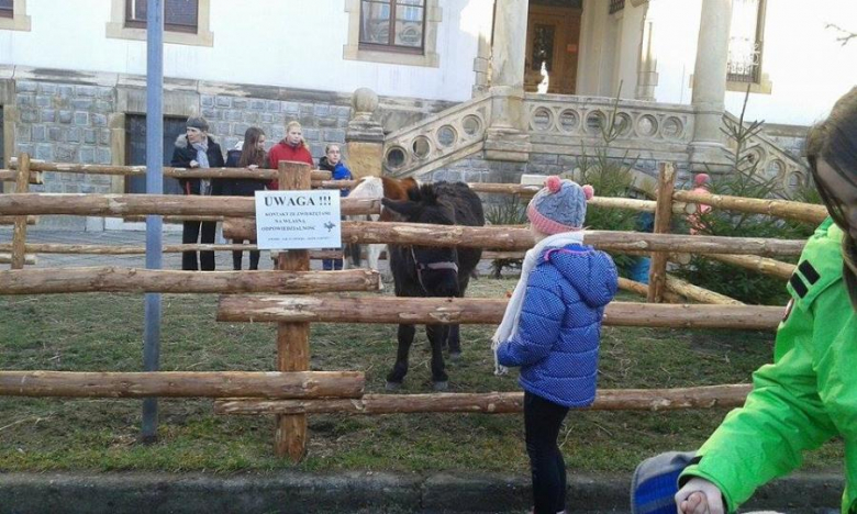 Jarmark Bożonarodzeniowy w Ziębicach