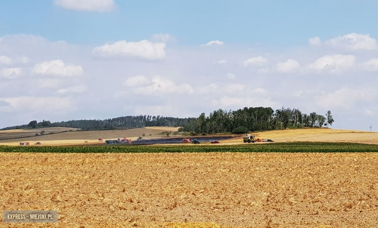 Pożar zboża i ścierniska między Kozińcem a Przedborową