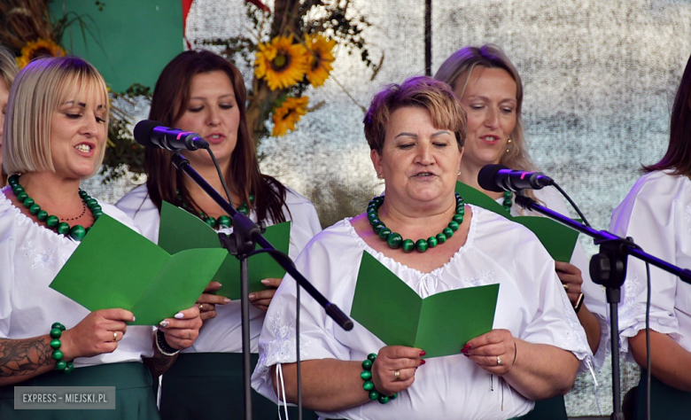 Muzyka, tradycja i turniej sołectw – dożynki gminne w Olbrachcicach Wielkich