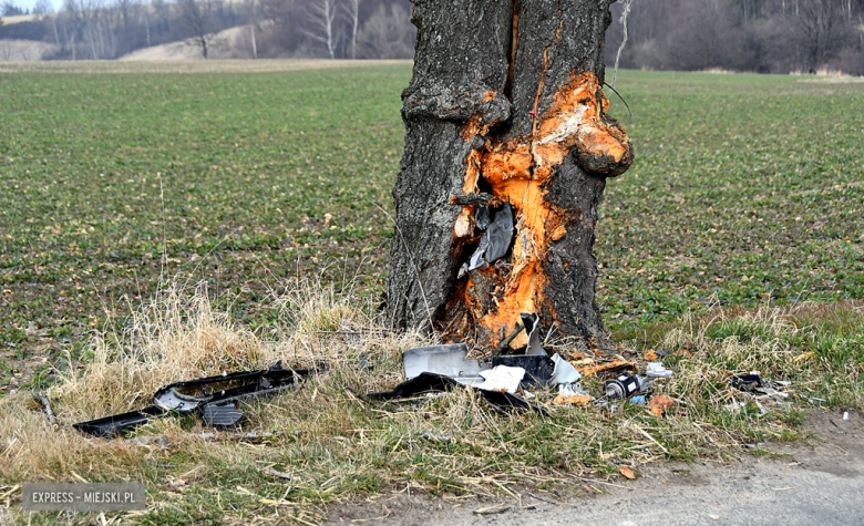 Samochód wypadł z drogi i uderzył w drzewo