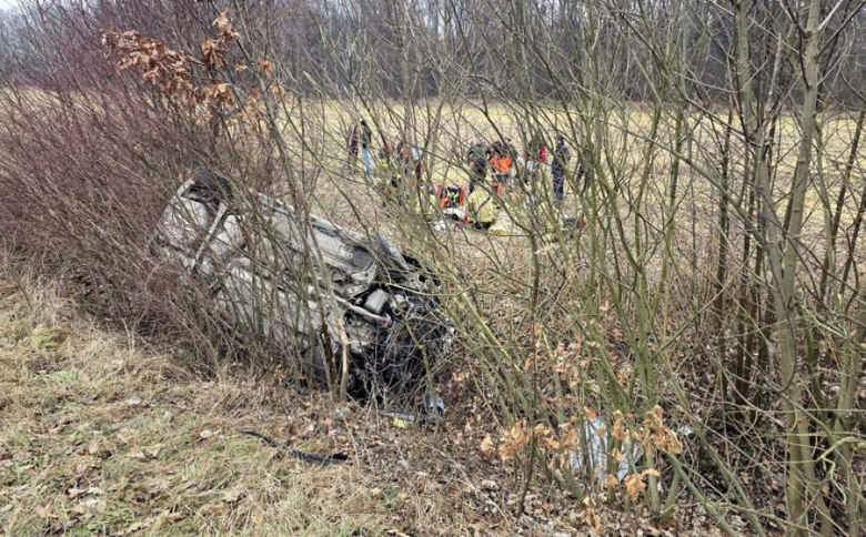 Dachowanie w Henrykowie