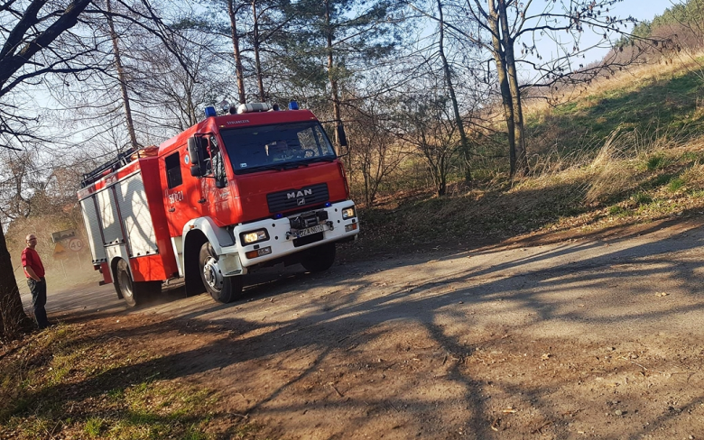 Wypadła z trasy i uderzyła w drzewo. Była nieprzytomna, interweniował helikopter LPR