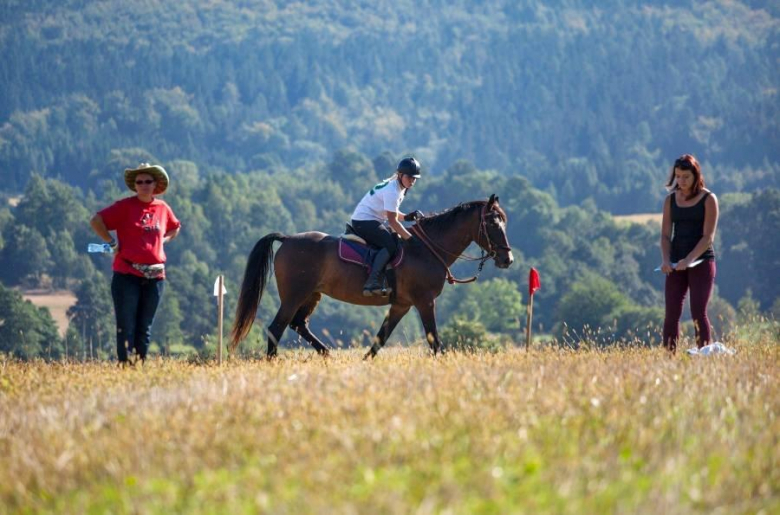 II Mistrzostwa Sudetów TREC PTTK Rancho Rossa Montana 