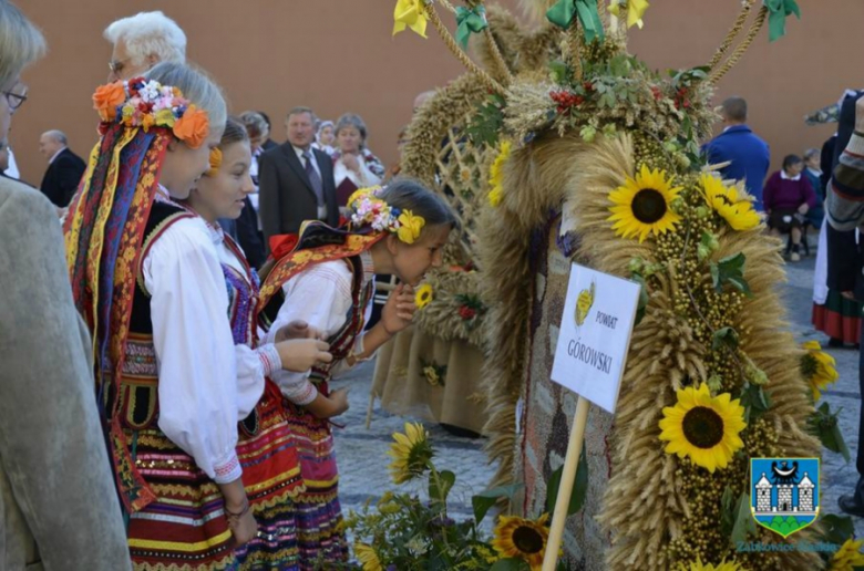 UMiG Ząbkowice Śl.  