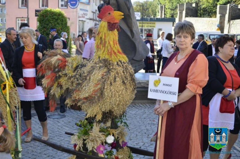 UMiG Ząbkowice Śl.  