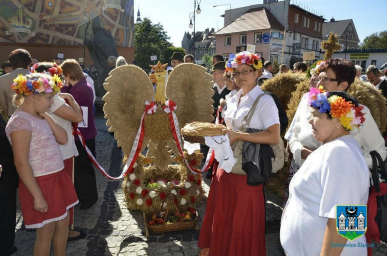 UMiG Ząbkowice Śl.  