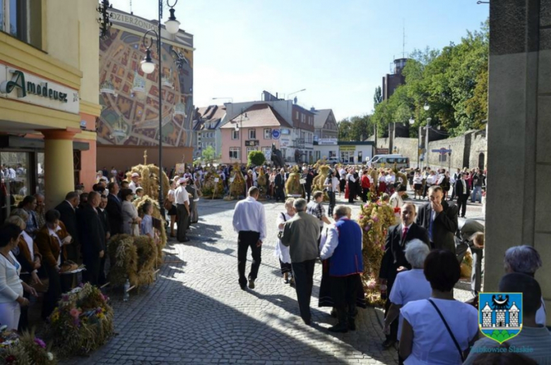 UMiG Ząbkowice Śl.  