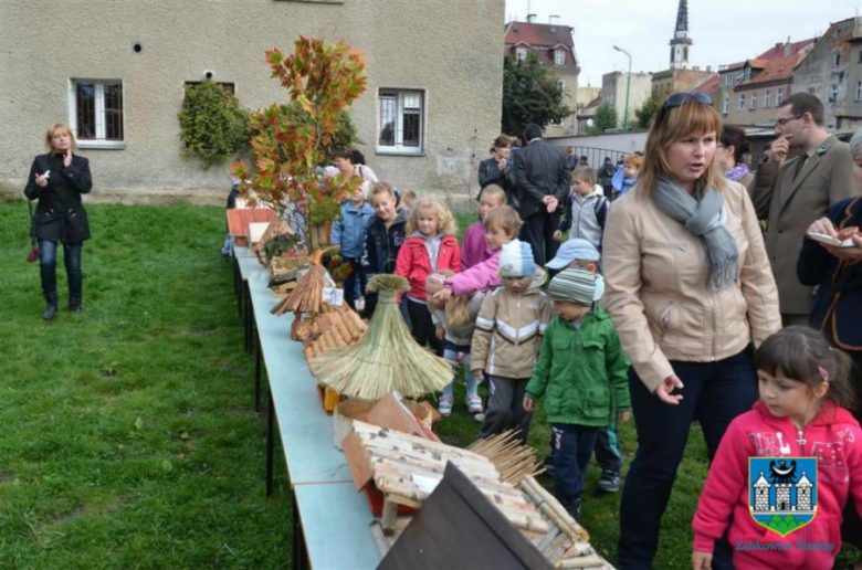 UM Ząbkowice Śl. 