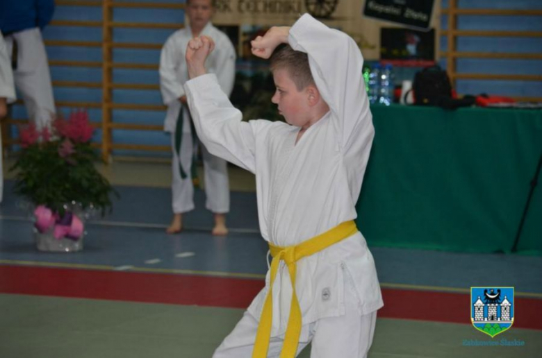 	I Mistrzostwa Polski Shotokan World Organisation