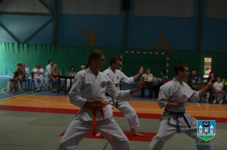 	I Mistrzostwa Polski Shotokan World Organisation