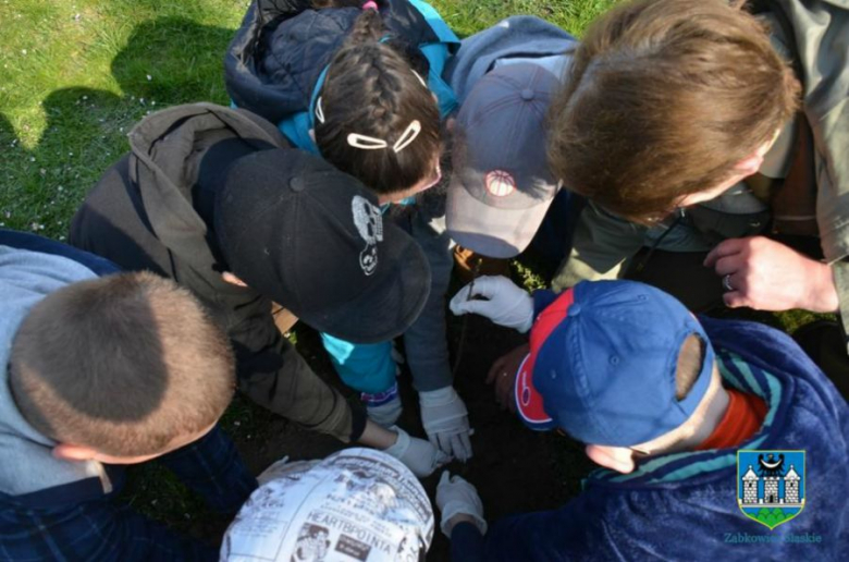 Mieszkańcy kilku miejscowości, a także przedszkolaki wzięły udział w akcji  „Zielona Gmina”