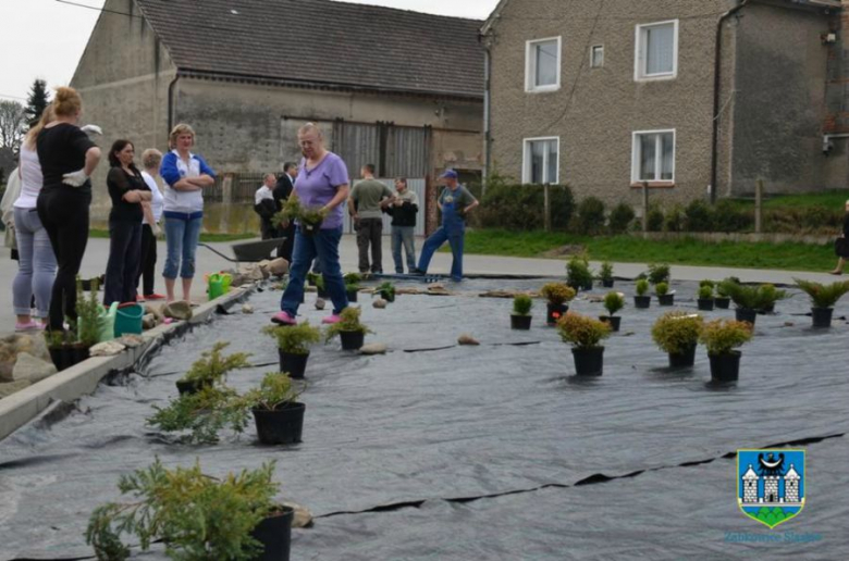 Mieszkańcy kilku miejscowości, a także przedszkolaki wzięły udział w akcji  „Zielona Gmina”