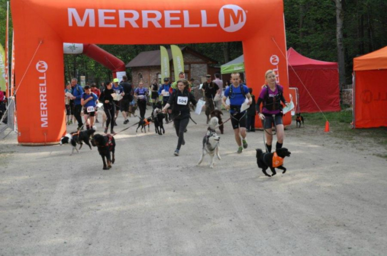 VI Mistrzostwa Polski w Dogtrekkingu 2015