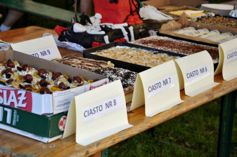 Piknik ratowniczy jest zwieńczeniem drugiej edycji programu pn. Bezpieczny powiat ząbkowicki, który jest od 2014 roku jest organizowany przez ząbkowickie starostwo