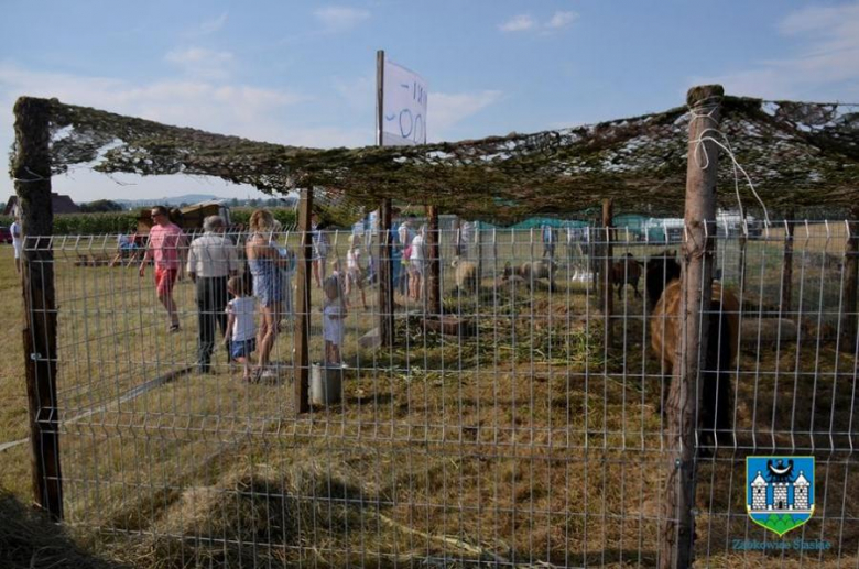 Święto plonów w ząbkowickiej gminie. Organzizatorem tegorocznych dożynek był Jaworek