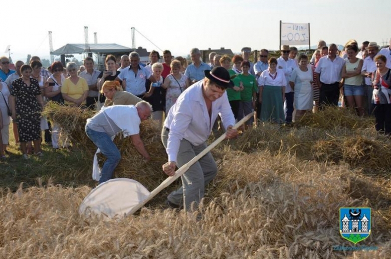 Święto plonów w ząbkowickiej gminie. Organzizatorem tegorocznych dożynek był Jaworek