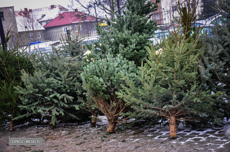 Jarmark bożonarodzeniowy w Ziębicach